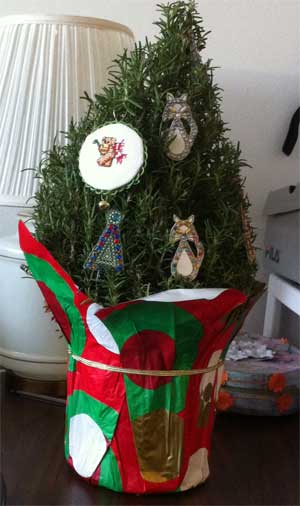 potted rosemary tree decorated for xmas